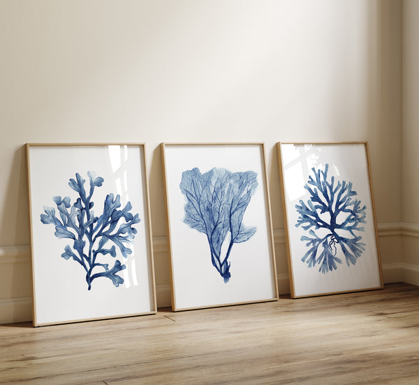 Minimalistische Küstenkunst, Set aus 3 Aquarellkorallen in Marineblau