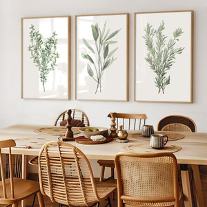 Küchenkräuter Aquarellkunst, 3 moderne botanische Wandposter