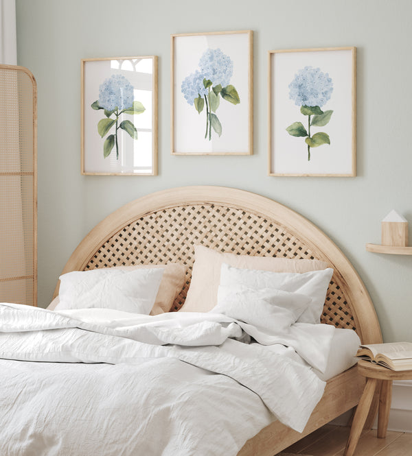 "A serene bedroom setting with three framed watercolor paintings of delicate blue hydrangeas adorning the wall above a bed with a woven headboard  in  a bedroom, creating a peaceful and inviting atmosphere.