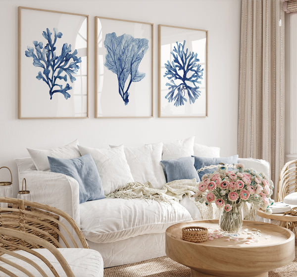 et aus 3 Drucken, die marineblaue Korallen über einem weißen Sofa zeigen