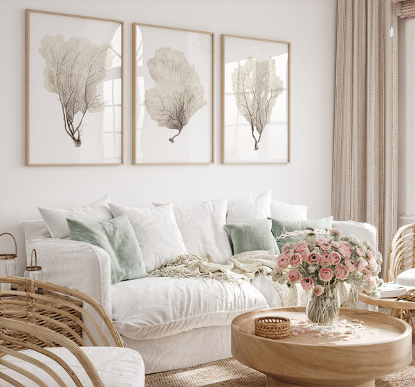 Coastal Coral Wall Art Set of 3 – Neutral Sea Fan Prints, Nautical Artwork, Modern Farmhouse & Scandinavian Coastal Decor
