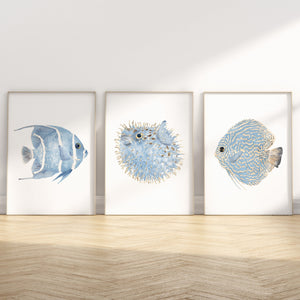 Aquarell Fische  3er-Set Kunstdrucke