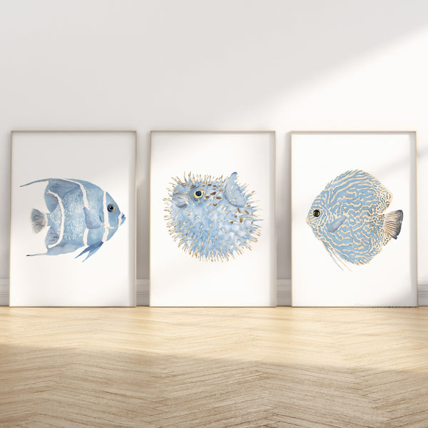 watercolor fish painting, set of 3 prints standing in 3 separate frames on teh floor. Left angel fish, middle puffer fish, right blue discus
