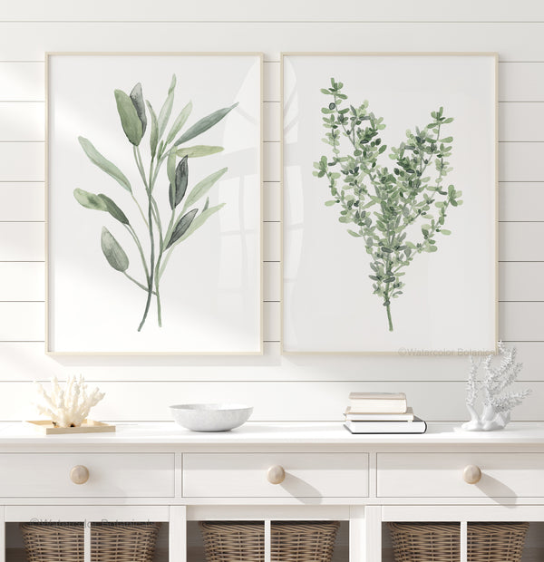 minimalist watercolor kitchen herbs featuring sage and rosemary