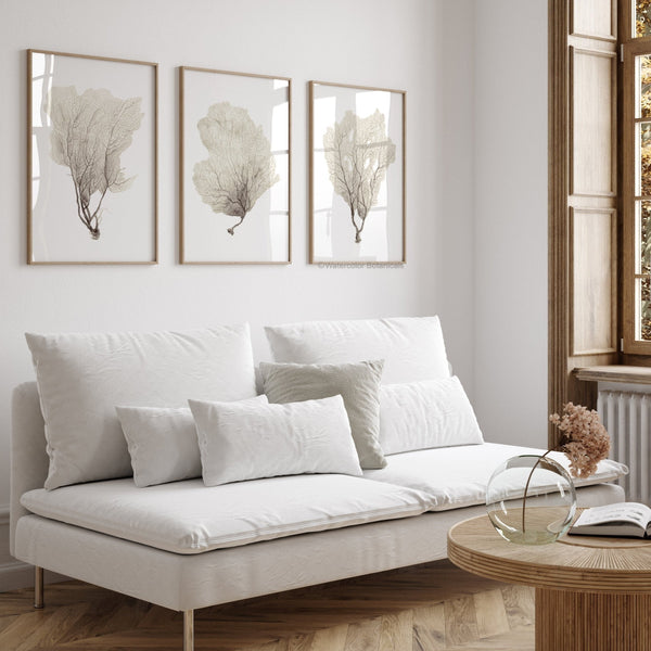 Neutral coastal living room with white sofa and three framed sea fan coral prints on the wall, minimalist modern farmhouse decor with natural wood accents.