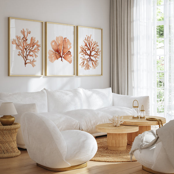 Set of three framed burnt sienna coral watercolor prints hanging above a modern white sofa in a bright, minimal living room with natural wood and soft beige decor.