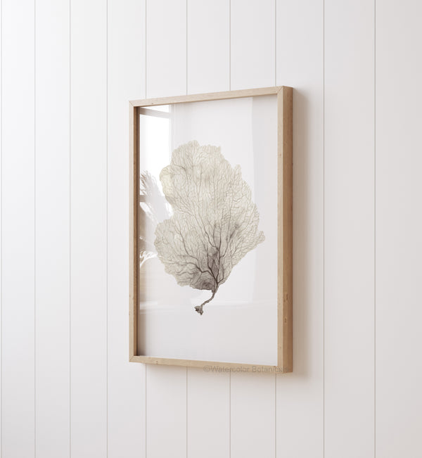 Coastal Coral Wall Art Set of 3 – Neutral Sea Fan Prints, Nautical Artwork, Modern Farmhouse & Scandinavian Coastal Decor
