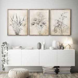 Modern farmhouse botanical set of 3 prints