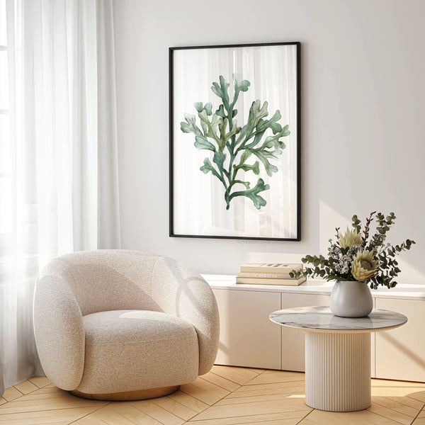 A framed watercolor painting showcases the intricate details of seaweed, adding a touch of nature to a living room with a plush armchair, a coffee table, and a vase of flowers.