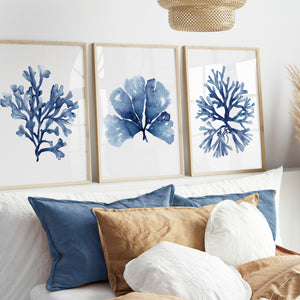 Nautische Aquarelle, 3er-Set marineblaue Kunstdrucke, Hamptons Stil