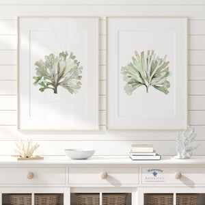 Salbeigrüne Meeresalgen Aquarell, 2er-Set minimalistische botanische Kunstdrucke