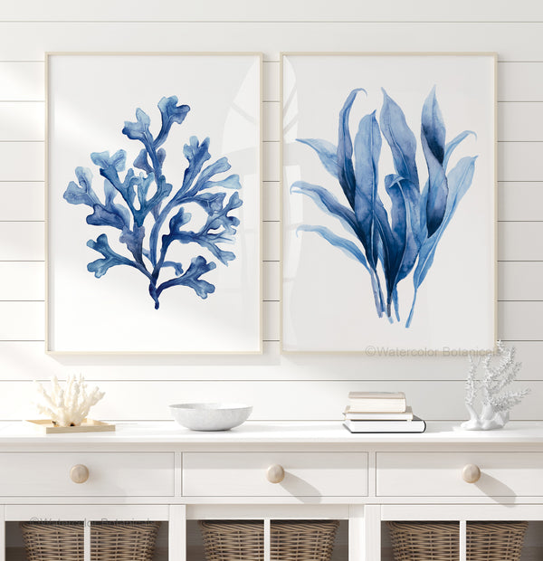 Set aus 2 Aquarell-Pflanzenpostern – Blaue Wandbilder mit Meerespflanzen – Moderne Japandi Deko für Wohnzimmer oder Schlafzimmer