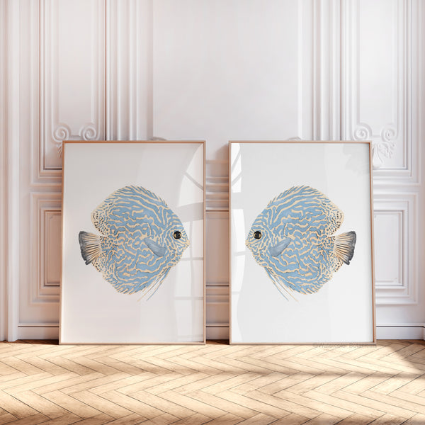 Coastal blue set of 2 discus fish wall art