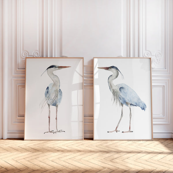 Watercolor paintings of minimalist large herons add a touch of nature to a room with a wood floor, ornate molding, and white walls.