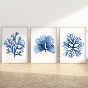 Modern Coastal Artwork, Blue Minimalist Corals