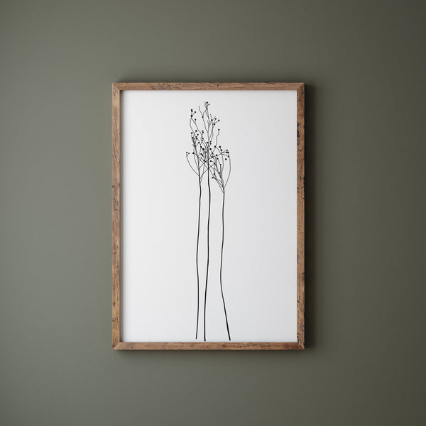 A drawing of plant, rendered in sleek black lines against a crisp white background. The painting is hung on a dark wall.