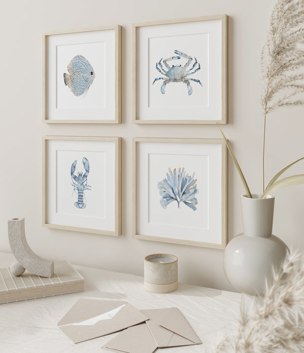 A set of four framed watercolor prints depicting coastal marine life. The prints feature minimalist designs of a discus fish, a crab, a lobster, and seaweed, all rendered in soft blues and grays. The prints are displayed on a wall in a modern, minimalist interior with neutral tones and natural elements.