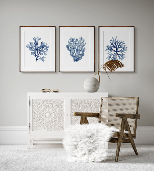 Modern navy coral wall décor set of 3