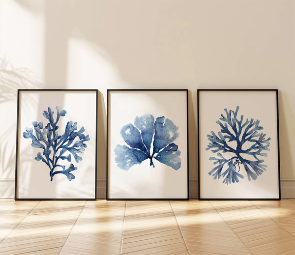Watercolor paintings of minimalist seaweed and coral designs in deep navy blue add a touch of nature to a room with a hardwood floor and white walls.