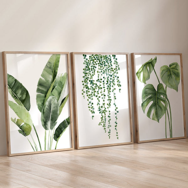 Three rectangular, light wood-framed prints featuring detailed watercolor illustrations of tropical plants are displayed leaning against a flat, off-white wall. From left to right, the prints depict: a banana plant with large, textured leaves; a cascading hanging plant with small, round leaves; and a monstera plant with distinctive split leaves. The illustrations are primarily green, with subtle variations in shade and tone.