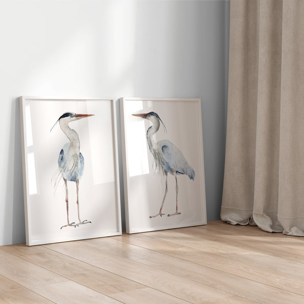 Watercolor paintings of minimalist large herons add a touch of nature to a room with a wood floor, white walls, and sheer curtains.