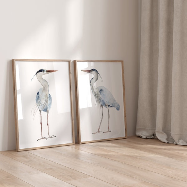 Two framed watercolor paintings of minimalist large herons hang on a white wall in a room with a wood floor.