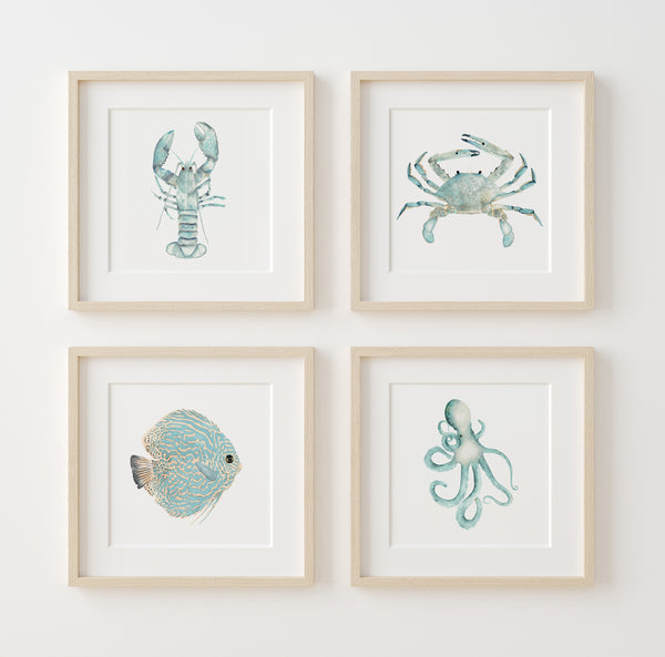 A set of four framed watercolor paintings depicting an octopus, a crab, a fish, and a lobster. The artwork features vibrant teal and turquoise colors. It is hung on a white wall.