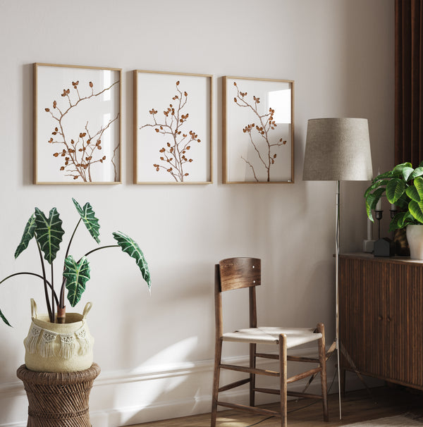 Three framed watercolor paintings showcase the intricate details of rose hip branches, painted in rich burnt sienna tones against a crisp white background, creating a stunning display in a living room with a wooden chair, a potted plant, and a lamp.