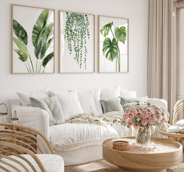 Three rectangular, light wood-framed prints featuring detailed watercolor illustrations of tropical plants are displayed above a white slipcovered sofa in a living room. The prints depict, from left to right: a banana plant with large, textured leaves; a cascading hanging plant with small, round leaves; and a monstera plant with distinctive split leaves. The sofa has several white and gray pillows.