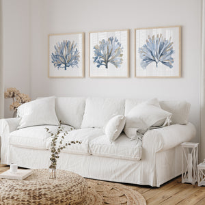Watercolor Coral Art – Set of 3 Coastal Prints in Blue & Beige for Modern Interiors