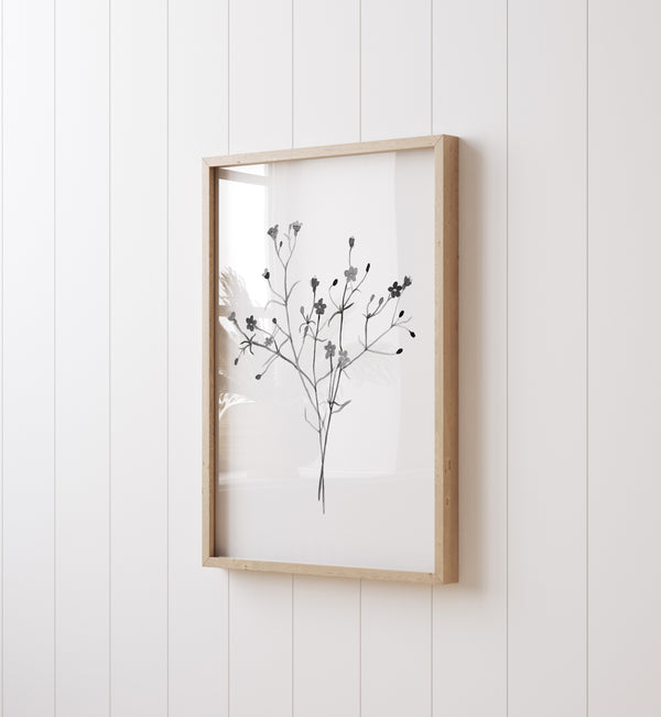 A framed black and white watercolor print showcases a delicate arrangement of flowers and branches, creating a simple yet elegant display against a white wall.