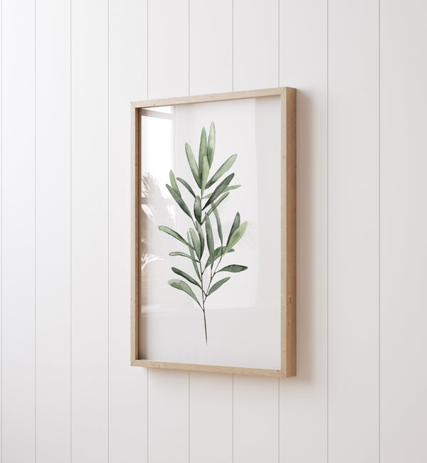 Eukalyptus, Thymian & Olive Wandbilder 3er Set – Aquarell Küchenkräuter Kunstdrucke