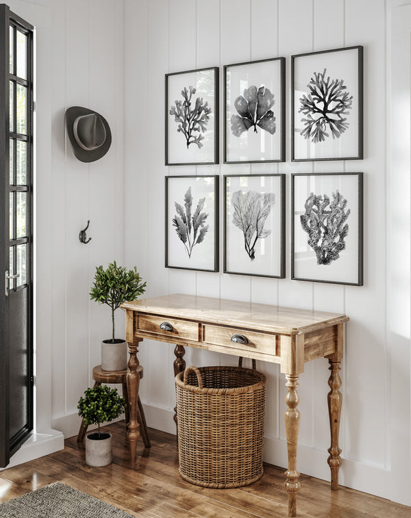 Narrow hallway with wooden console table, wicker basket, and 6 framed black corals art on the wall.