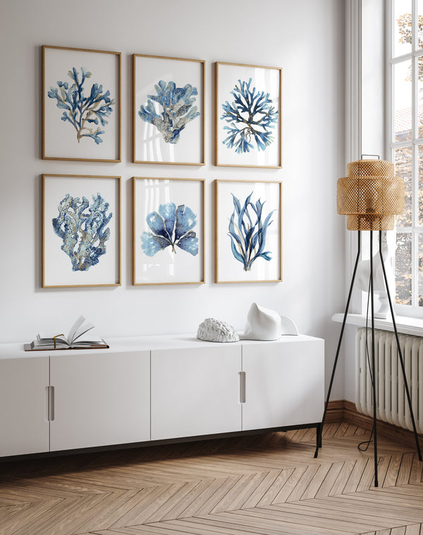 Korallen Wandkunst – 6-teiliges Küsten-Minimalismus Druckset in Marineblau und Beige