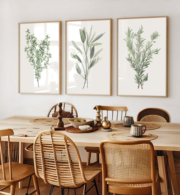 Three framed watercolor paintings showcase delicate depictions of Provencal herbs, including rosemary, thyme, and sage, in soft muted green tones, creating a calming and inviting atmosphere above a dining table in a dining room.