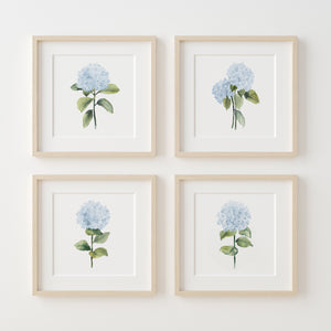 Blue Hydrangea Wall Art Set of 4 Botanical Prints Watercolor Floral Home Decor