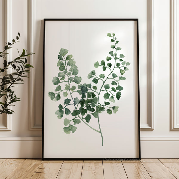 A framed watercolor painting showcases the intricate details of a fern, rendered in shades of green against a crisp white background.