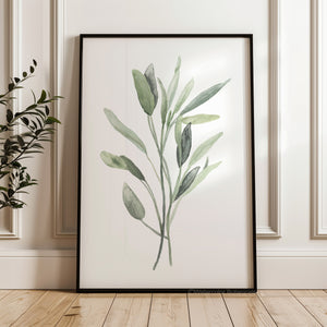 Watercolor sage herb, minimalist botanical print, Scandi and Japandi kitchen home decor