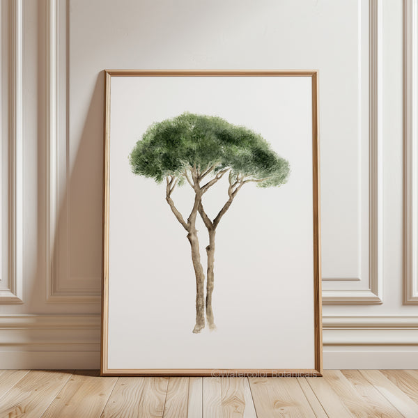 Mediterranean art is showcased with a framed watercolor illustration of an Italian Pine Tree leaning against a white paneled wall on a light wood floor. The tree is depicted with green foliage and a brown trunk, framed in a thin light wood frame. The wall has decorative molding with rectangular panels.