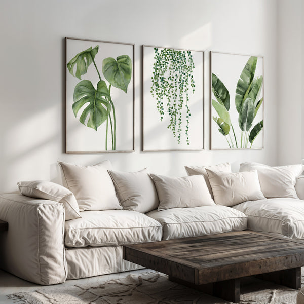 Three rectangular, light wood-framed prints featuring detailed watercolor illustrations of tropical plants are displayed above a white slipcovered sofa in a living room. The prints depict, from left to right: a monstera leaf, a cascading hanging plant with small leaves, and upright banana leaves. The sofa has several white and off-white pillows. A rectangular, dark wood coffee table with a textured surface sits in front of the sofa. A light-colored rug is visible