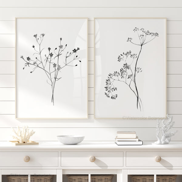 Two framed black and white watercolor prints depict delicate botanical illustrations, creating a calming and sophisticated atmosphere in a room with white paneled walls, a white console table, and decorative accents like seashells and books.