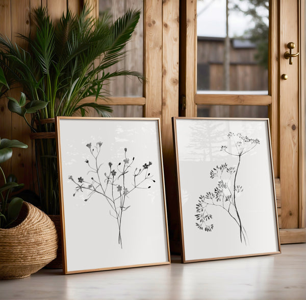 Two framed black and white watercolor prints depict delicate botanical illustrations, creating a calming and sophisticated display against a backdrop of wooden walls and a large houseplant.