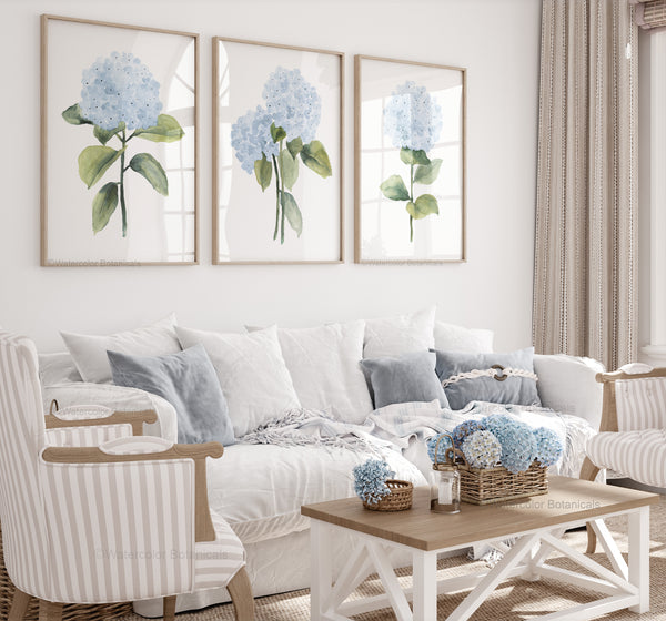 "Three framed watercolor paintings of blue hydrangea flowers hang on a white wall above a white sofa in a living room.