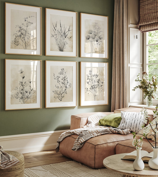 A gallery wall of six botanical illustrations showcasing various wildflowers in black ink on a vintage-inspired tan background. The artwork is displayed in a living room setting with a plush sofa and natural light.