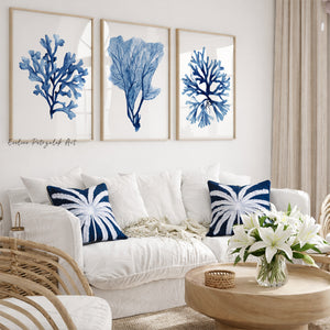 Navy Blue Coral Wall Art Set of 3 – Modern Watercolor Coastal Prints