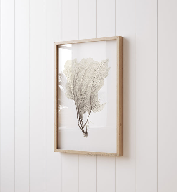 Moderne Minimalistische Wandkunst – Set aus 3 Drucken, Beige Neutrale Malerei, Korallen Bilder