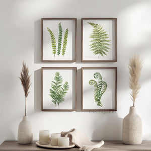 Green Fern Botanical Art Set – 4 Watercolor Prints for Scandinavian and Modern Interiors