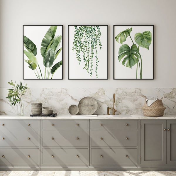 Three rectangular, thin black-framed prints featuring detailed watercolor illustrations of tropical plants are displayed above a gray kitchen counter. The prints depict, from left to right: a banana plant with large, textured leaves; a cascading hanging plant with small, round leaves; and a monstera plant with distinctive split leaves. The counter is a light gray with silver knobs and pulls, and a white marble backsplash. 