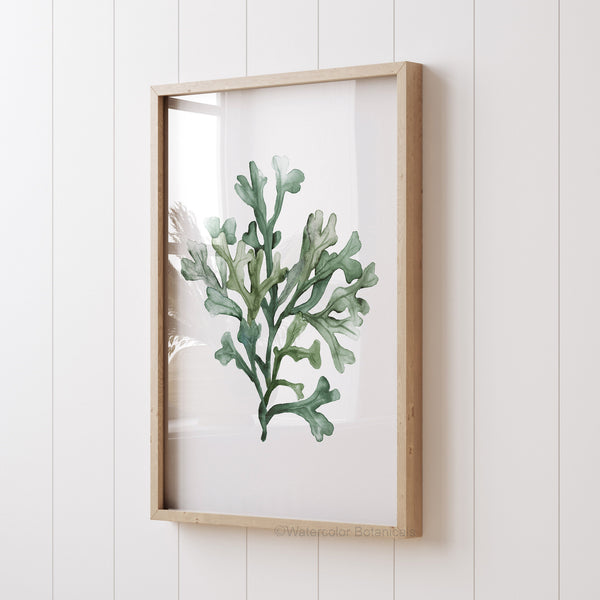 A framed watercolor painting captures the intricate beauty of a single type of green coral, adding a touch of nature to a white wall.