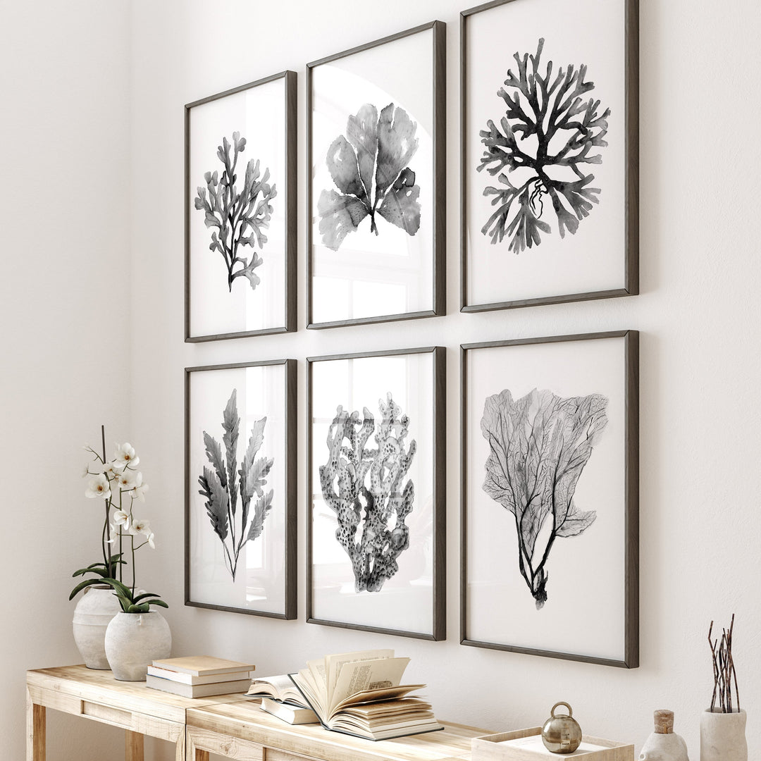 Nautical-themed wall art with black and white coral prints in a home interior setting.